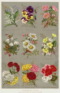 Christmas Cards by Polly Clarke